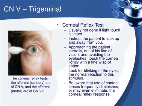 corneal reflex test results|Cranial Nerve Testing .